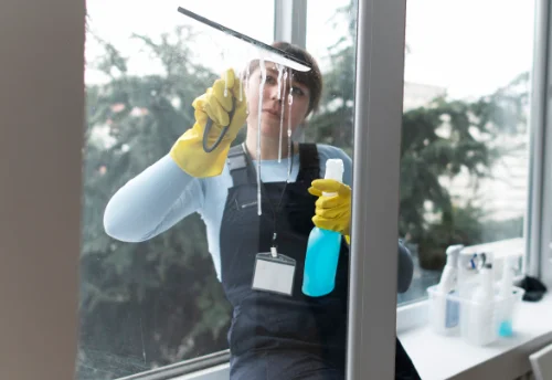Nettoyage de vitres intérieures et extérieures à Savigné